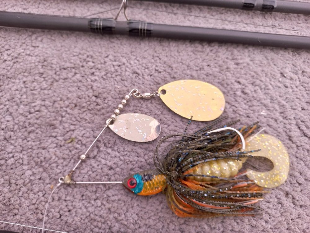 bluegill spinnerbait 2.jpg