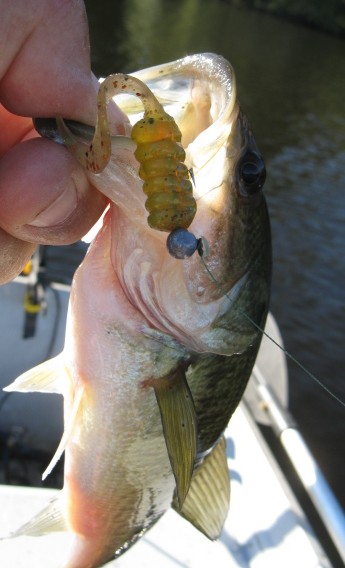 Floating Soft Body Frogs - Fishing Tackle - Bass Fishing Forums