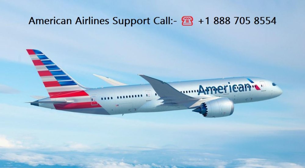 American Airlines.JPG